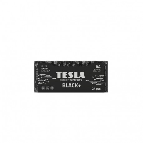 Batteries Tesla AA Black+ R06 (24 pcs)