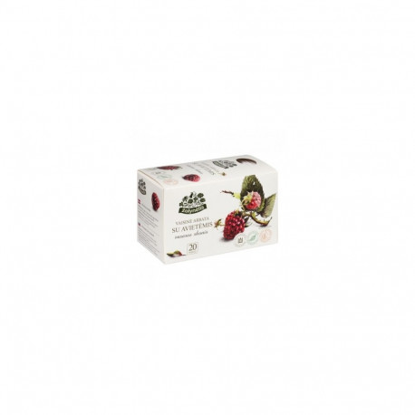 Žolynėlis Fruit tea Summer taste with raspberries, 50g (2,5g x20)