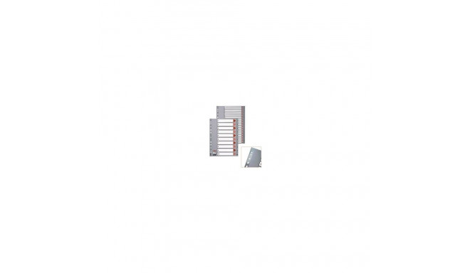 Divider Esselte PP, A4, Jan.-Dec. months, plastic