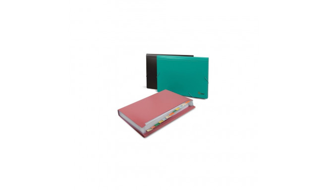 File folder with erasers Forpus, A4, plastic, green, 12 compartments