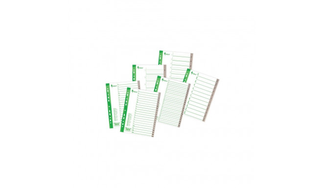 Divider Forpus, A4, Jan.-Dec. months, plastic