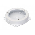 Deep base white