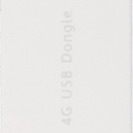 Huawei LTE netipulk E3372-325, valge