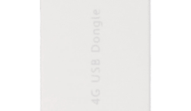 Huawei LTE netipulk E3372-325, valge