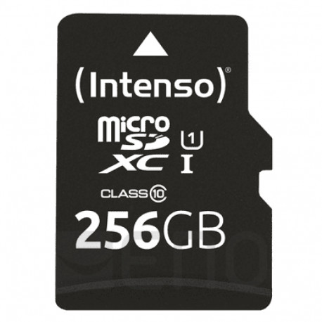 Intenso microSD mälukaart Class10 UHS-I 256GB
