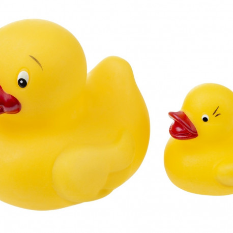 Rubber ducks for bathing 2pcs., 023