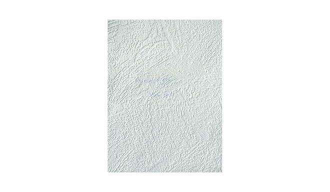 PAINTABLE WALLPAPER 2522-01 B98