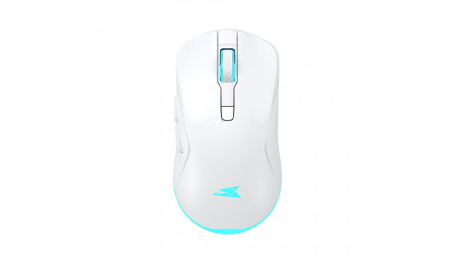 Baracuda TURTLE-W BGM-122, White