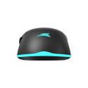 Baracuda BGM-121 Turtle Black