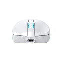 Baracuda BGM-122 Turtle White