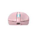 Baracuda BGM-124 Turtle Pink