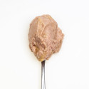 3COTY 42. Chicken and duck (kitten) - wet cat food - 180g