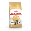 Royal Canin FBN Maine Coon Adult -  dry food for adult cats - 4kg