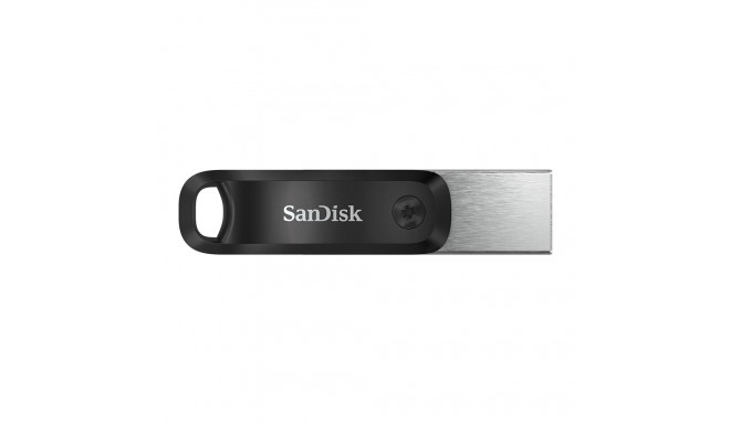 SanDisk SDIX60N-256G-GN6NE USB mälupulk 256 GB 3.2 Gen 1 (3.1 Gen 1) hall, hõbedane
