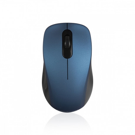 WM10S Optical wireless mouse blue