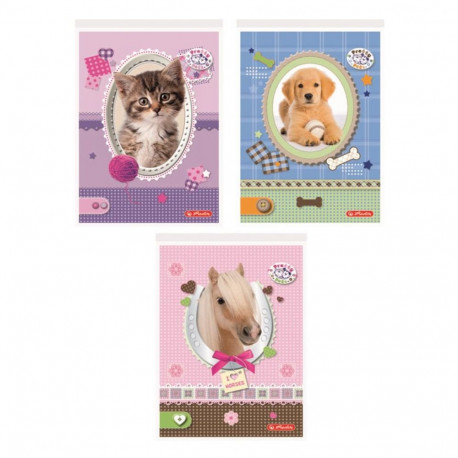 Märkmeplokk a6/46l ruut Pretty Pets V