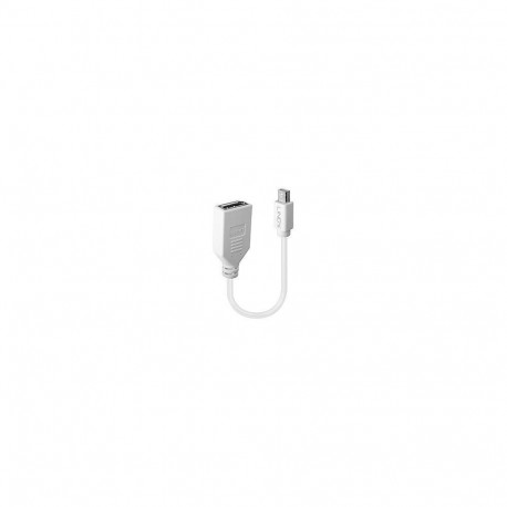 LINDY ADAPTER MINI DP TO DP/0.2M 41021