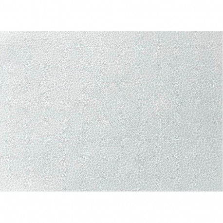 Evelatus Universal Tablet Universal High Quality Leather Skin Film for Cutter White