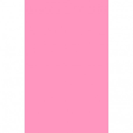 Evelatus Universal Universal Color Shinning A3 Film for Screen Cutter Light Pink