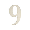 DOOR NUMBER 9 SS-9 62MM STAINLESS STE