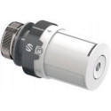 THERMOSTATIC HEAD