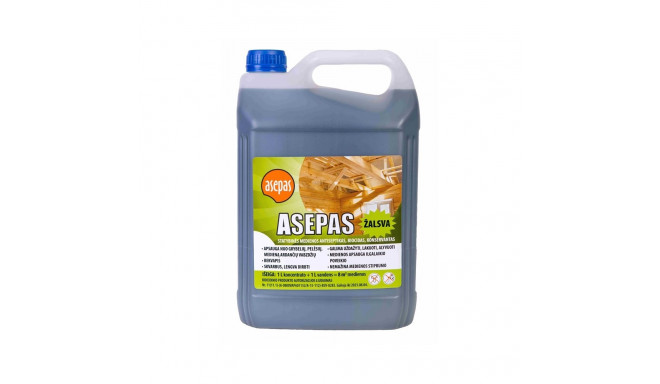 ASEPAS roheline antiseptik 5L