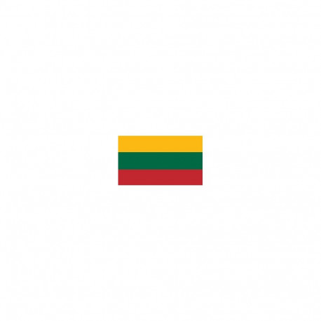 MAGNETIC STICKER LT FLAG