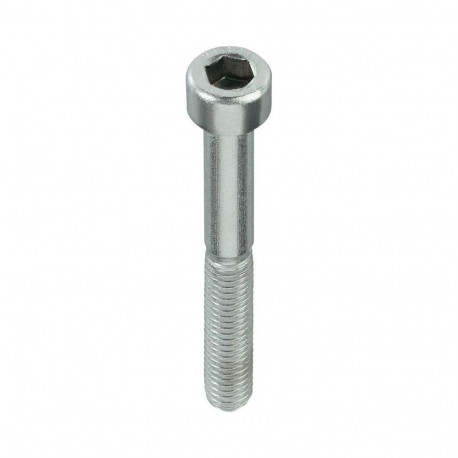 BOLT DIN912 M5X20 ZN (200)