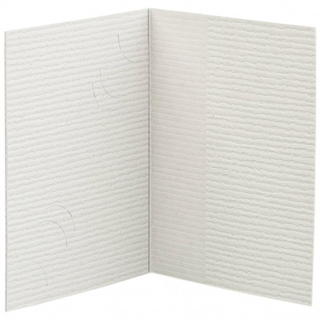 1x100 Daiber kaustik passifoto, 3 suurust, hall