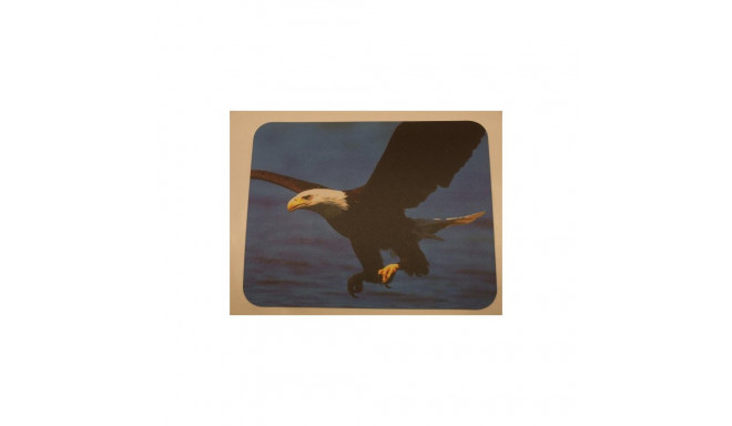 PVC mouse pad with picture