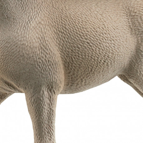 SCHLEICH HORSE CLUB Criollo Definitivo Foal