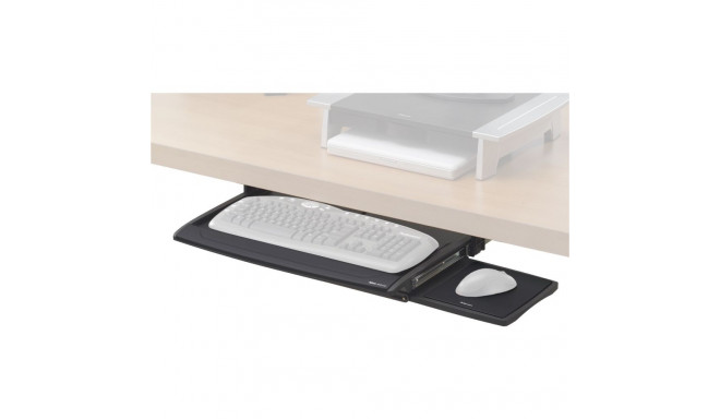 Fellowes (8031201)