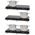 Induction double hotplate Proficook