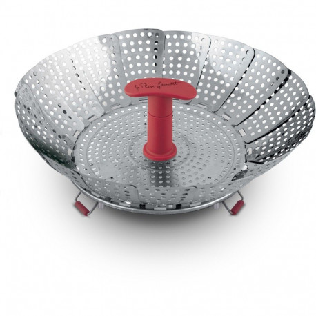 Foldable steamer Lamart