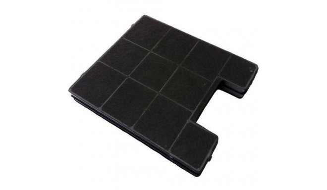 Carbon Filter