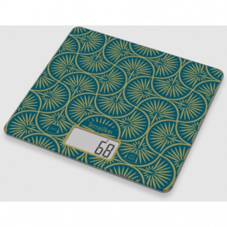 Kitchen scales Terraillon