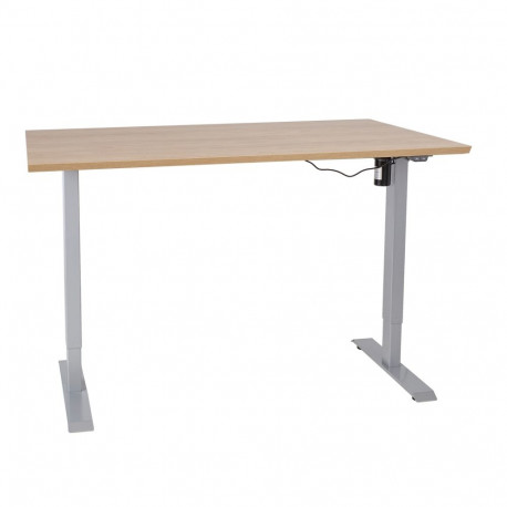 Desk ERGO with 1 motor 160x80xH71-121cm, hickory/silver grey