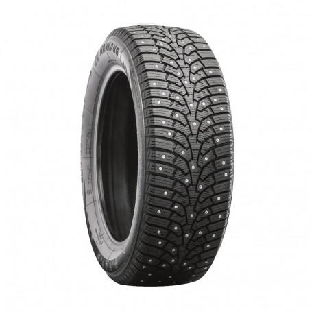 205/55R17 Nankang SW-9 95T XL naast