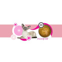 3COTY Cheers! 62. Turkey - wet cat food - 160g