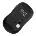 iBOX i009W Rosella wireless optical mouse, black