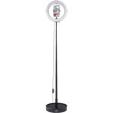 Hama Ring Lamp with Holder Hama Ring Lamp with Holder