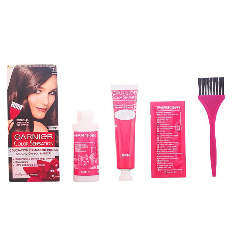 Garnier juuksevärv Color Sensation #4.0 110g, pruun