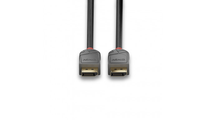DisplayPort Cable - LINDY Anthra Line DisplayPort 1.4 Cable, M/M, 1 m, Black