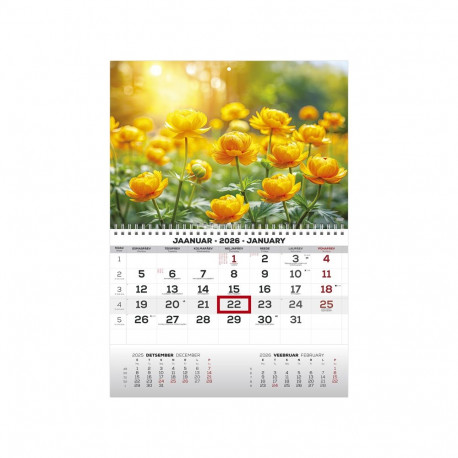 Wall calendar MONO Estonian-English no. 16 2911050016