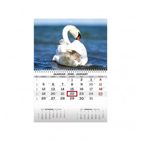 Seinakalender MONO eesti-inglise nr.7 2911050007