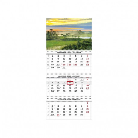 Wall calendar TRIO EXTRA no. 3 2911210003