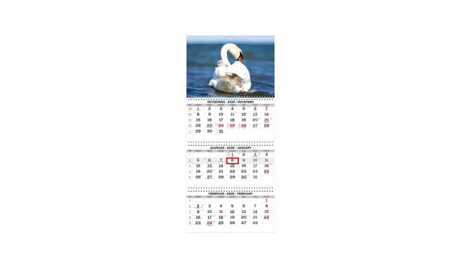 Wall calendar TRIO EXTRA no. 7 2911210007