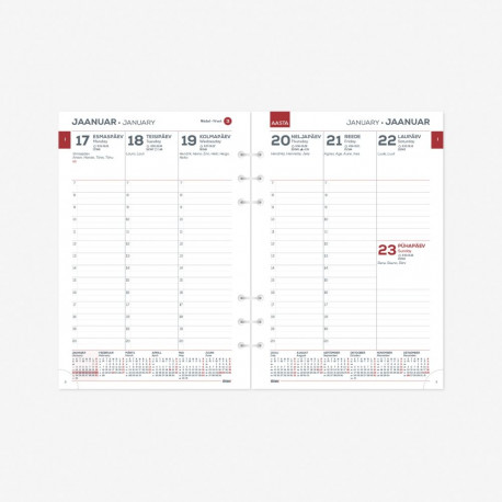 Kalendrisisu Time-Master MAXI Nädal V 2913868000