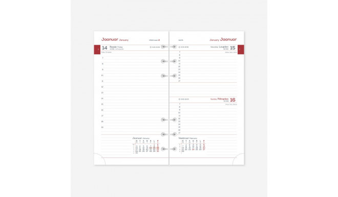 Kalendrisisu MIDI Timex Päev 2914302000