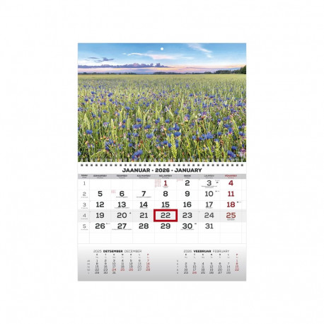 Seinakalender MONO pilt nr. 1 2026a.